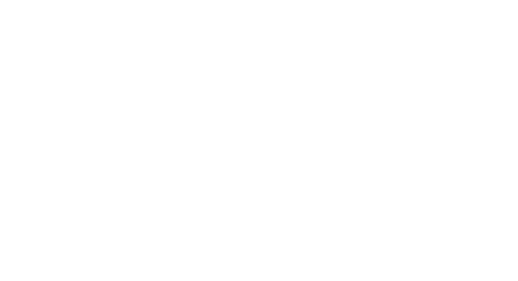 קלדר (4)